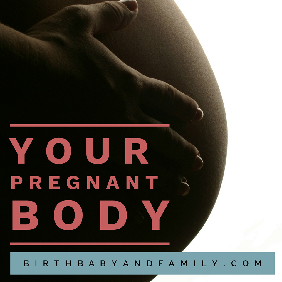 Your body during pregnancy & birth