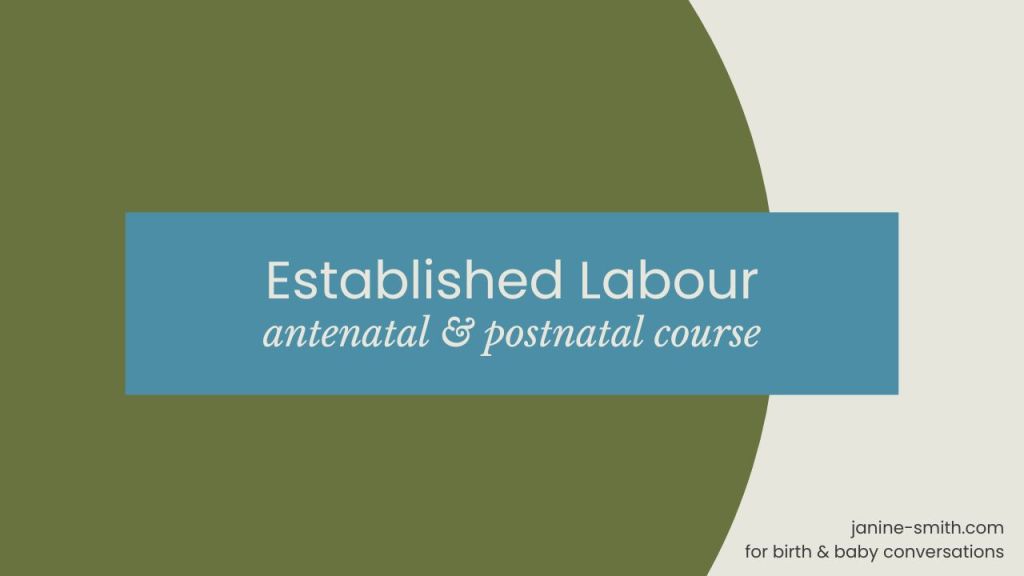 Module 1: Established&nbsp;Labour