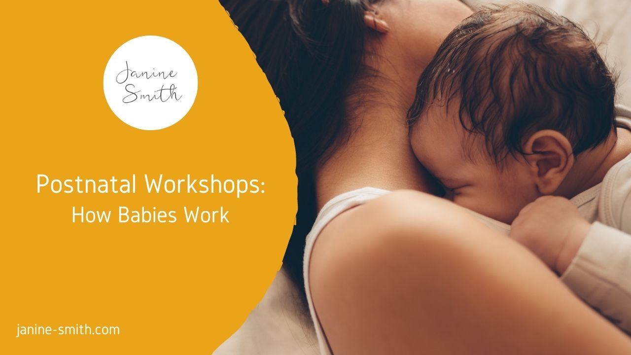 How Babies Work
