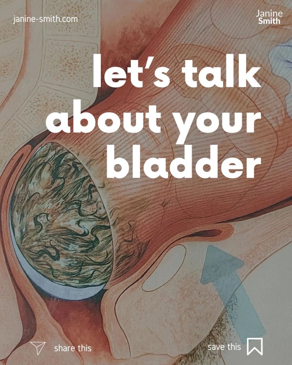 Let’s talk about your&nbsp;bladder