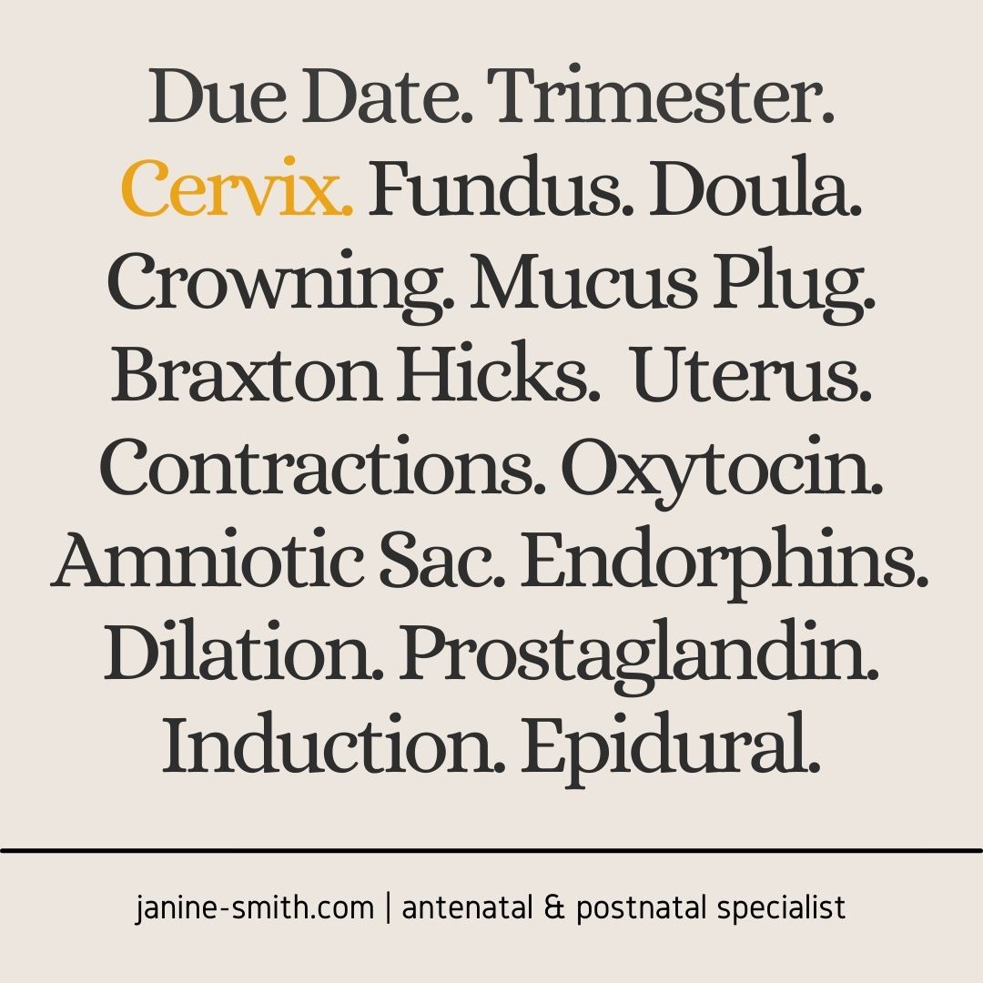 Cervix